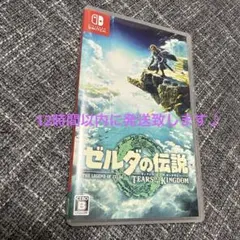 ゼルダの伝説 ティアーズ オブ ザ キングダム Switch