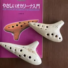 希少！美品】となりのトトロ オカリナ 陶器製 - メルカリ