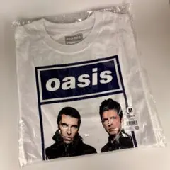 Item thumbnail for item 27f6f37b-399f-412f-be52-721203c1cab5