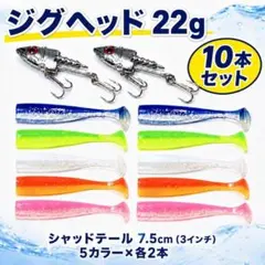 ジグヘッド 22g 2個　＋　シャッドテール　ワーム10本セット　3インチ　VJ