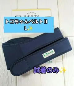 Item thumbnail for item a1a01d35-3bc3-4e70-80d9-e90752a34fc7