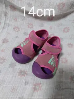 【お値下げ】adidasウォーターシューズ14cm　水陸両用