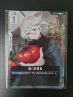 溢れる慈愛　プロモ　パラレル