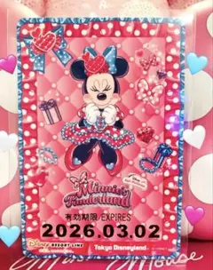 ディズニーリゾート❤️ミニーの日　リゾートライン　使用不可　 期限切れ