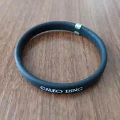 Item thumbnail for item 6a213607-7e66-4263-b415-39d91a948b6a