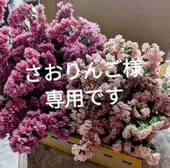 さおりんご様専用です