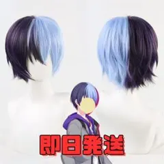 ▼青柳冬弥 プロジェクトセカイ プロセカ　コスプレ　ウィッグ