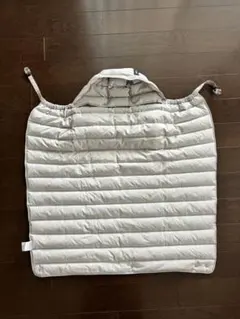 Item thumbnail for item 731464f8-a6de-42df-be05-bdd550bfdf67