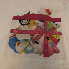 ビームス✖️サンリオ　ジプロックシリーズ