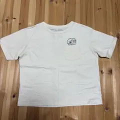 Patagonia オーガニックコットン Tシャツ　Sサイズ