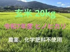 令和7年ヒノヒカリ新米　玄米20kg 農薬、化学肥料、除草剤不使用のサムネイル