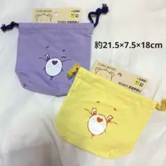 【新品未使用品タグ付き】 ケアベア 巾着袋 2枚セット