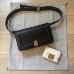 最終値下げ　Charles & Keith ショルダーバッグ　三つ折り財布