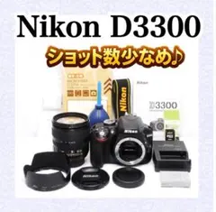 Nikon D3300 美品 ショット数9086回 手振れ補正 初心者安心セット