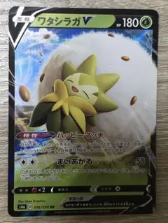 ワタシラガV