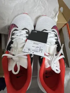 NIKE エアズームライバルフライ4 HQ3512-100