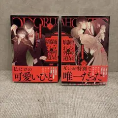 踊る阿呆と腐れ外道 上、下　あかねソラ　2冊