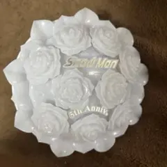 Snow World ペンライト