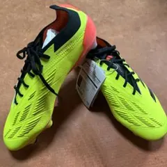 Item thumbnail for item c9949411-3d8a-43d2-abcd-af94e1979542