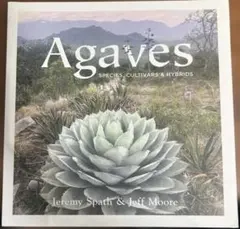 希少Agaves Species, Cultivars & Hybrids