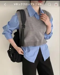 グレー Vネック ニットベスト フリーサイズ