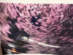 Item thumbnail for item 6f5ff579-b0ea-475b-bb52-59c53d0d4c43