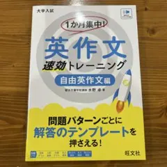 英作文　参考書　水野卓　自由英作文/1ヶ月集中トレーニング