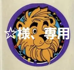 【☆様専用】