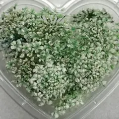 ドライフラワー 花材 詰め合わせ 14 レースフラワー