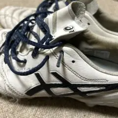 ASICS xフライ5