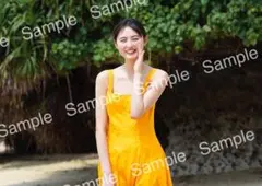 Item thumbnail for item 4e57c99f-5012-4cf3-8659-579ba82c339f