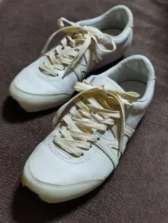 ●値下げ●24.5cm ミズノ　ほぼ未使用 Mizuno　スニーカー MLC-0