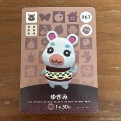 どうぶつの森 ゆきみ amiiboカード 067