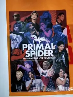 THE RAMPAGE クリアファイル　タワレコ　DVD特典