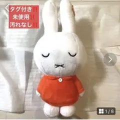 Item thumbnail for item ee313ac9-cae3-4225-9d28-9d2306dc874c