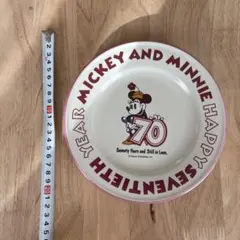 ミッキー ミニー 70周年 記念皿