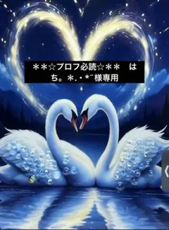 ＊＊☆プロフ必読☆＊＊　はち。＊.・*¨ 様専用⭐️1867