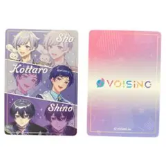 【VOISINC】カード Sho Kottaro Shinoボイシングチップス