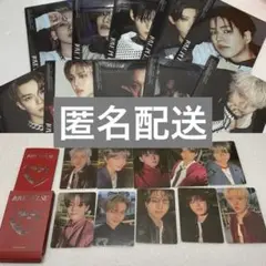 TREASURE LOVE PULSE 10枚セット 特典トレカ マグネット