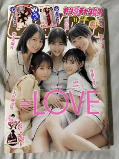 Item thumbnail for item 6bb98a11-bfe3-461e-a890-ddae0264b6e2