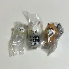StrayKids リノ ガチャ セット