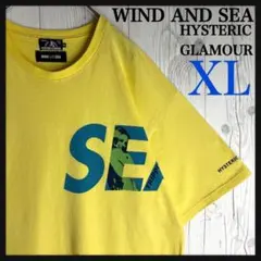 2026年最新】ウィンダンシー ヒステリックグラマー tシャツの人気