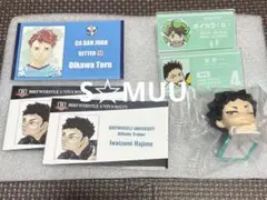 ハイキュー 名刺カードコレクション 及川徹 岩泉一 名札 おねむたん 新品