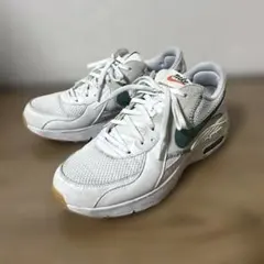 NIKE AIR MAX EXCEE / 25.5cm