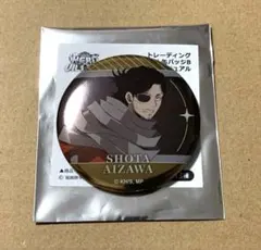 ヒロアカ ヒロヴィラ 相澤先生 缶バッジ