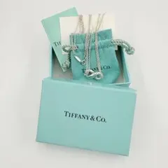 美品　Tiffany&Co.インフィニティダブルチェーンネックレス925 正規品