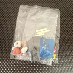 ポケモン　ふんわりゆらりん飾り　リーシャン＆ガーディ　（ヒスイのすがた）