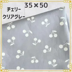 35×50 ランチョンマット 給食ナフキン ランチクロス ランチマット108