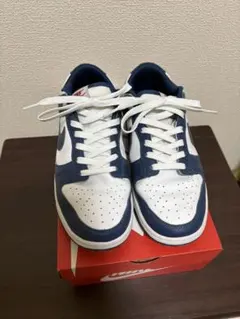 Nike Dunk Low 