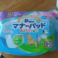 Item thumbnail for item 219c62df-d761-4cf0-973c-ef777faf05bb